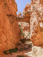 Image showing Bryce Canyon National Park