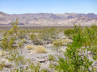 Image showing Death Valley National Park