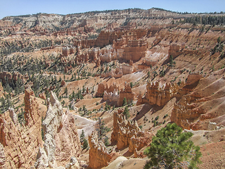 Image showing Bryce Canyon National Park