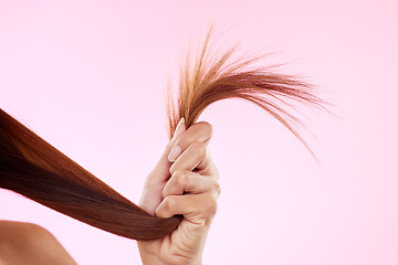 Image showing Woman, split end in hand and hair in studio for salon, hairdresser or repair shampoo or treatment. Damage and dry texture or hairstyle of a beauty model on a pink background for self care cosmetics