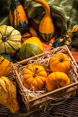 Image showing Pumpkins