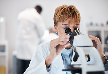 Image showing Check, microscope and science with black woman in laboratory for experiment, medical and pharmacy. Healthcare, medicine and results with expert looking for pathology, test and sample analysis