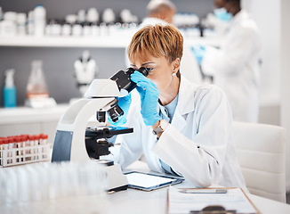 Image showing Bacteria, microscope and science with black woman in laboratory for experiment, medical and pharmacy. Healthcare, medicine and results with expert looking for pathology, test and sample analysis