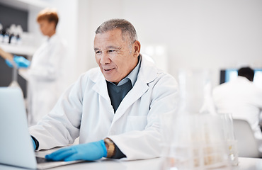 Image showing Man, scientist and typing on laptop in lab, medical research with senior phd doctor and enter experiment results online. Scientific innovation, male in biology and digital record of science test