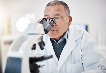 Image showing Science, laboratory and senior scientist with microscope for research, medical study and data analytics. Healthcare, biotechnology and old man with sample for experiment, vaccine exam and medicine