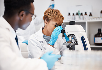 Image showing Science, research and woman with microscope in laboratory for experiment, study and medical report. Healthcare team, biotechnology and scientists check sample, virus and bacteria for vaccine analysis