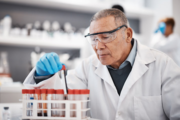 Image showing Blood, science and scientist in laboratory with sample for research, medical study and forensic investigation. Healthcare, pharmaceutical and senior man with vial for dna test, exam and rna analysis