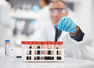 Image showing Blood, research and hands of scientist in laboratory with sample for science, medical study and investigation. Healthcare, pharmaceutical and old man with vial for dna test, biology and rna analysis