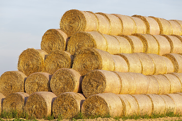 Image showing haystacks with straw