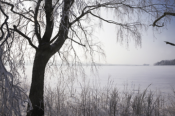 Image showing white fresh snow