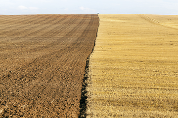 Image showing a half plowed agricultural field