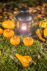 Image showing Halloween ornamental pumpkins