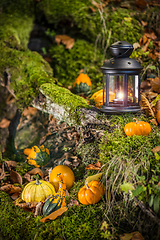 Image showing Halloween pumpkins