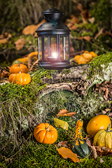 Image showing Halloween still life