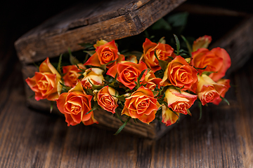 Image showing Bouquet of orange roses
