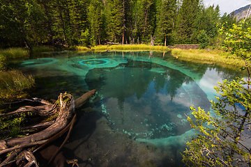 Image showing Geyser lake with thermal springs