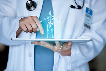 Image showing Doctor hands, tablet and body hologram for 3d analysis, healthcare or future medical development. Medic, holographic tech or model of anatomy research in clinic office for innovation with digital ux