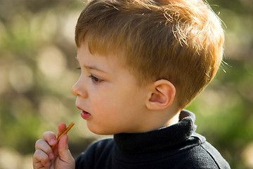 Image showing A little boy eating short stick 
