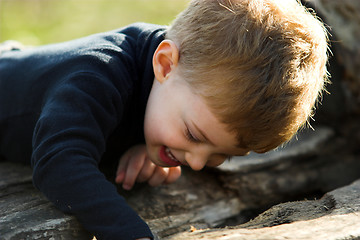 Image showing boy searching in the park