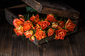 Image showing Beautiful roses