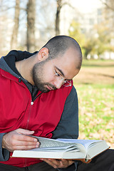 Image showing student reading book 