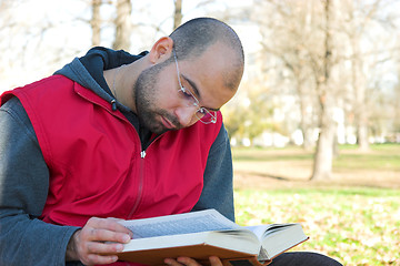 Image showing student reading book 