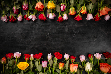 Image showing Rose flowers composition