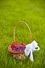 Image showing Lilac petals