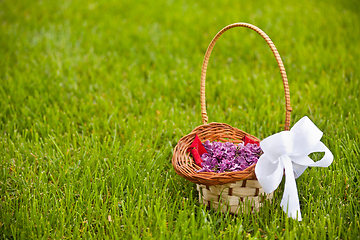 Image showing Lilac petals