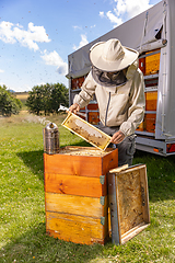 Image showing Beekeeper checking honey