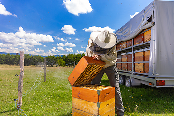 Image showing Farmer wearing bee suit