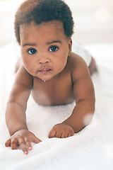 Image showing Cute baby, black kids and portrait of crawling on bed for play, fun and relax in nursery room. Young african infant child, girl and face of healthy development, growth and learning to crawl in house