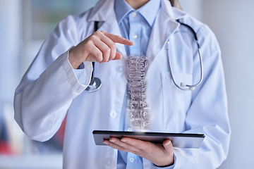 Image showing Spine skeleton hologram, doctor and hands with tablet, 3D and futuristic, digital transformation and woman in clinic..Metaverse, future technology in orthopedic healthcare and innovation with anatomy