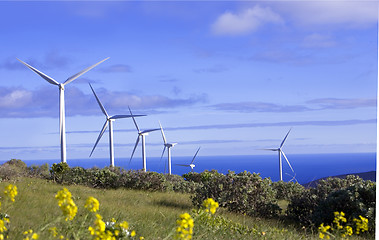 Image showing eolic generators in a wind farm