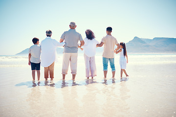 Image showing Black family, beach or holding hands with children, parents and grandparents standing in the water from behind. Back, nature or view with kids, senior people and relatives bonding in the ocean