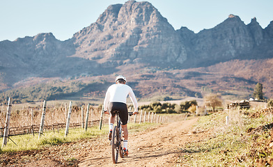 Image showing Back of man, mountains and cycling in nature, countryside and training for triathlon, sports and race in Cape Town. Cyclist, mountain bike and outdoor bicycle for marathon fitness, exercise or cardio