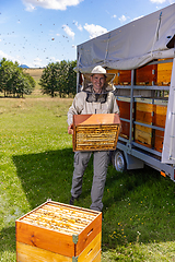 Image showing Collect honey concept.