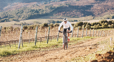 Image showing Man, bicycle and cycling on gravel in nature, countryside and training for triathlon, sports and power. Cyclist, mountain bike and off road path for marathon fitness, exercise and freedom in sunshine