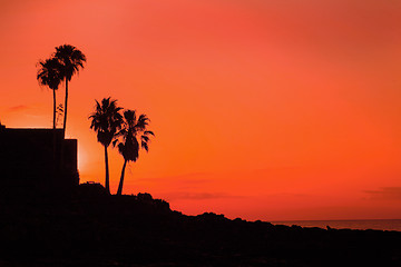 Image showing orange sunset on tropical island with palm