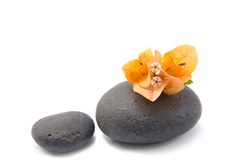 Image showing zen stones with bouganvilla flowers isolated.