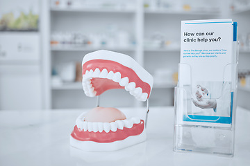 Image showing Dental, healthcare and model of teeth in clinic for medical, smile dentures and orthodontics. Insurance, cleaning and consulting with pamphlet in pharmacy store for medical, information and wellness