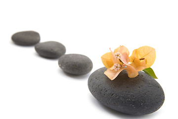 Image showing zen stones with bouganvilla flowers isolated.