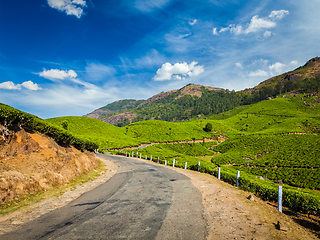 Image showing Green tea plantations in Munnar, Kerala, India