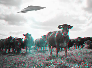 Image showing Alien abduction, spaceship and UFO with cow in field for fantasy, science fiction and space invasion. Extraterrestrial, travel and flying saucer beam on cattle farm for discovery, explore and mystery