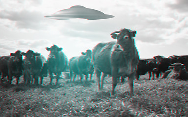 Image showing Alien, spaceship and UFO with cow on farm for fantasy, science fiction and space invasion. Extraterrestrial, countryside and flying saucer beam on cattle ranch for discovery, abduction and mystery