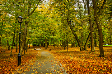 Image showing Autumn alley