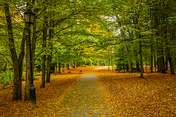 Image showing Autumn alley