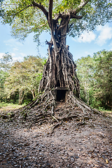 Image showing Sambor Prei Kuk temple ruins, Cambodia