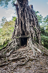 Image showing Sambor Prei Kuk temple ruins, Cambodia