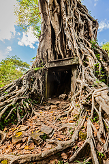 Image showing Sambor Prei Kuk temple ruins, Cambodia